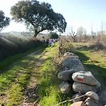 El Gorgocil Puente del Congosto
