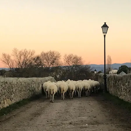 Nyaraló El Gorgocil Puente del Congosto